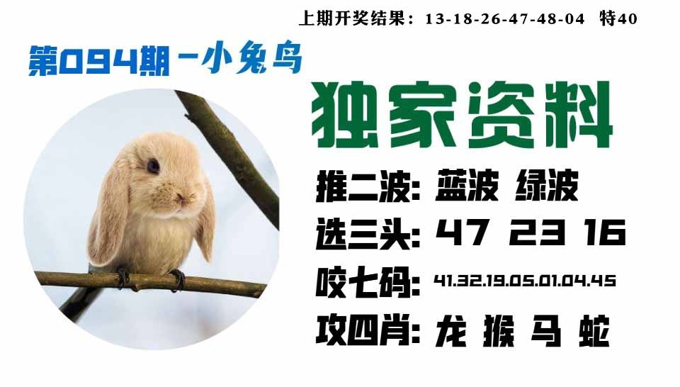 094期小兔鸟[图]